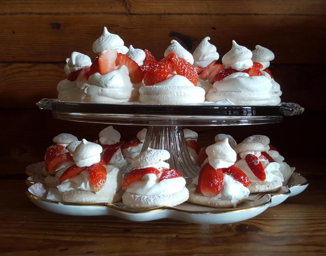 B&B La Rectoria De Sant Miquel De Pineda Sant Felíu de Pallarols 외부 사진